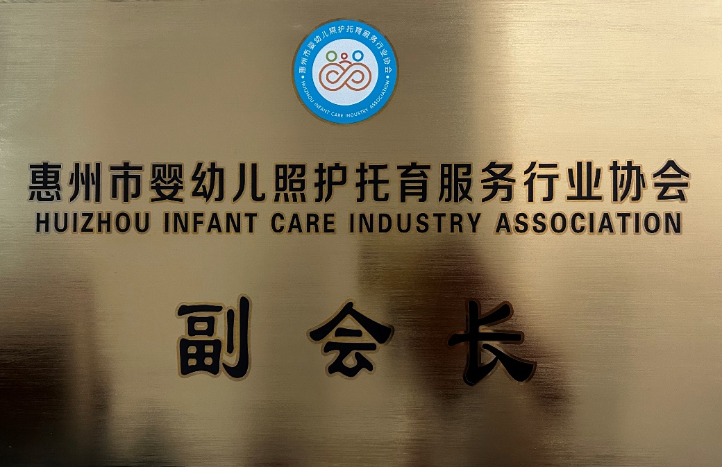 惠州市婴幼儿照护托育服务行业协会